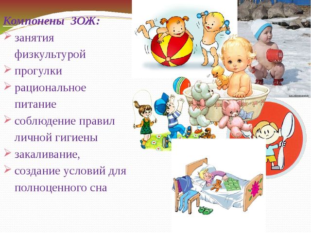 Презентация на тему:"Формирование здорового образа жизни дошкольников"