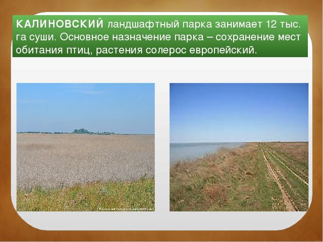 Северный Крым. Краткая история заселения, освоения и развития территории. Особенности природы. Залив Сиваш. Памятники культуры и природы.