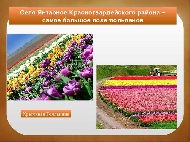 Северный Крым. Краткая история заселения, освоения и развития территории. Особенности природы. Залив Сиваш. Памятники культуры и природы.