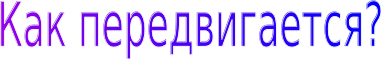 Shape7