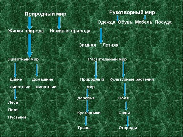 Развитие мышления старших дошкольников средствами работы с малыми литературными формами