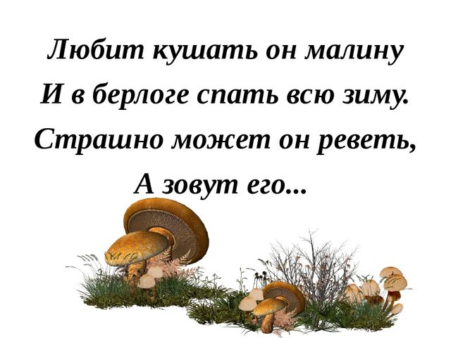 Презентация "Лесные звери"(в загадках)