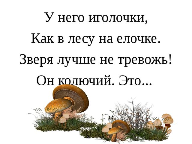 Презентация "Лесные звери"(в загадках)