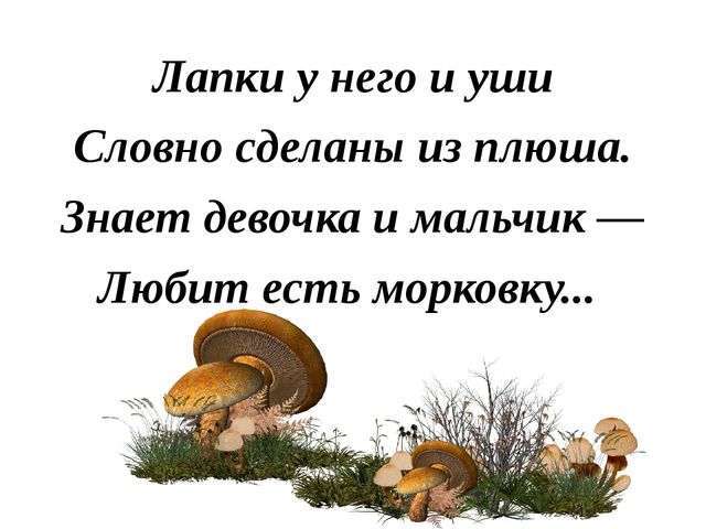 Презентация "Лесные звери"(в загадках)