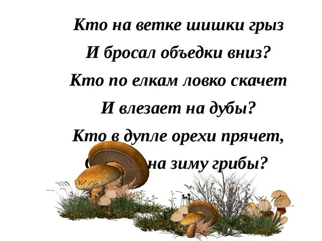 Презентация "Лесные звери"(в загадках)