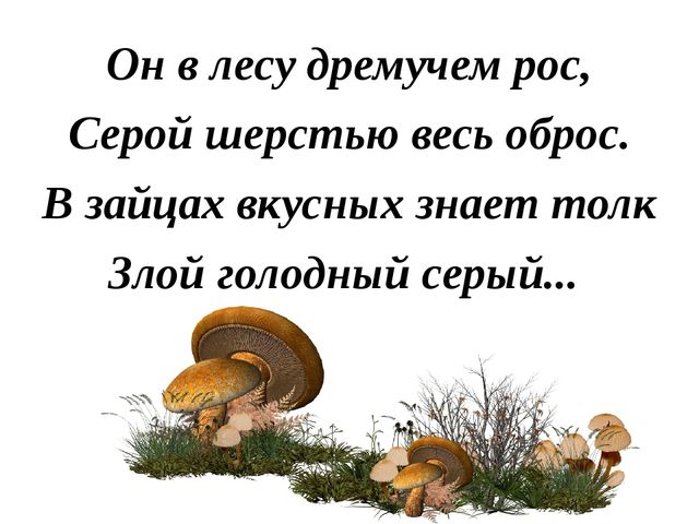 Презентация "Лесные звери"(в загадках)