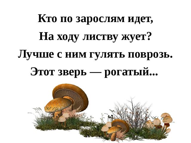 Презентация "Лесные звери"(в загадках)