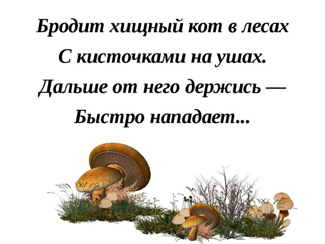 Презентация "Лесные звери"(в загадках)