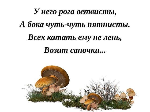 Презентация "Лесные звери"(в загадках)