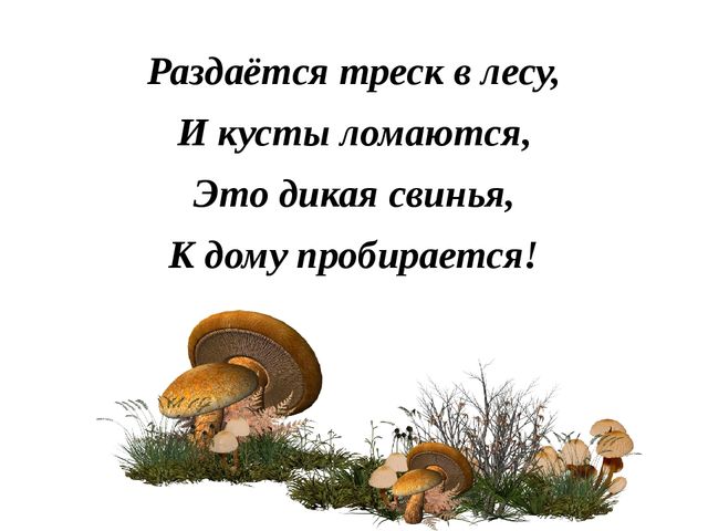 Презентация "Лесные звери"(в загадках)