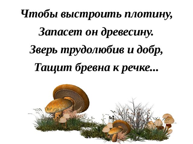 Презентация "Лесные звери"(в загадках)