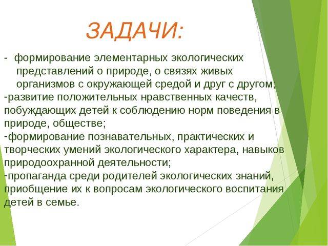 Экологический проект для детей старшего дошкольного возраста на тему "Любовь к родине начинается к природе"