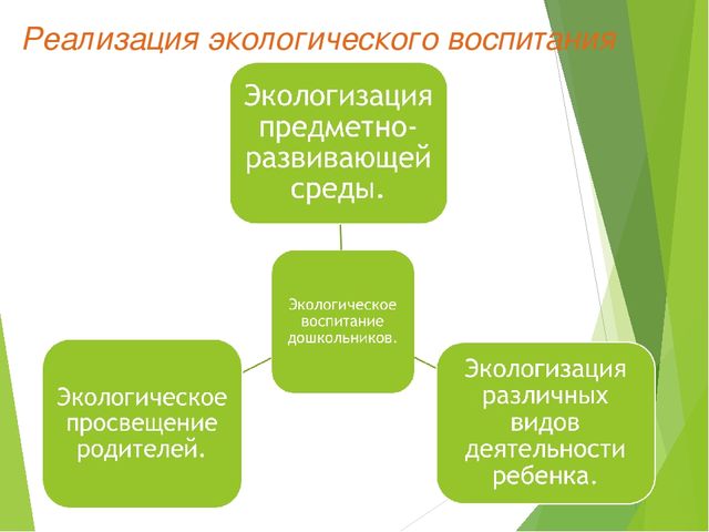Экологический проект для детей старшего дошкольного возраста на тему "Любовь к родине начинается к природе"