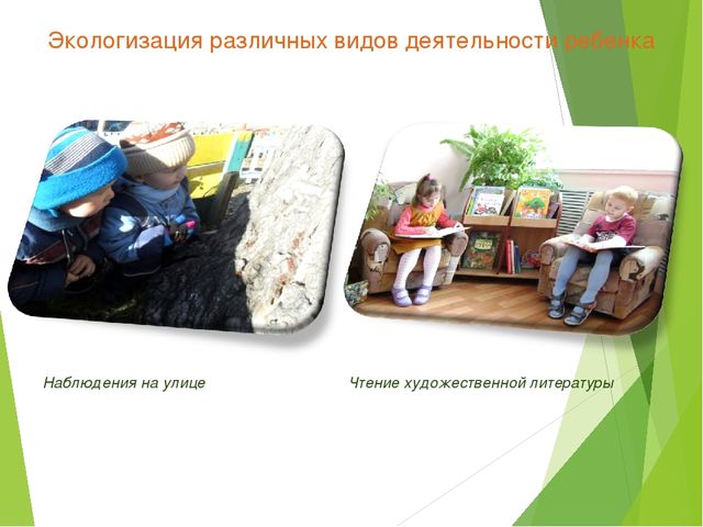 Экологический проект для детей старшего дошкольного возраста на тему "Любовь к родине начинается к природе"