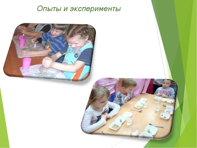 Экологический проект для детей старшего дошкольного возраста на тему "Любовь к родине начинается к природе"