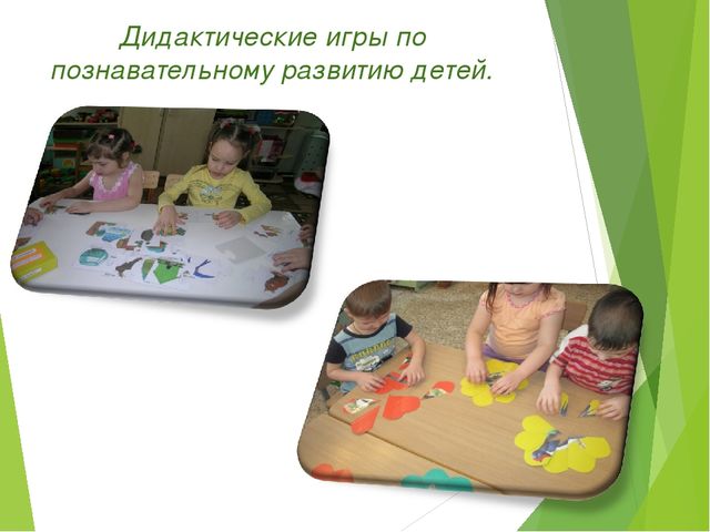 Экологический проект для детей старшего дошкольного возраста на тему "Любовь к родине начинается к природе"