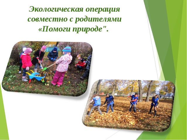 Экологический проект для детей старшего дошкольного возраста на тему "Любовь к родине начинается к природе"