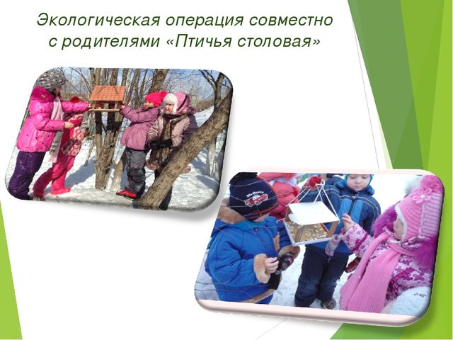 Экологический проект для детей старшего дошкольного возраста на тему "Любовь к родине начинается к природе"