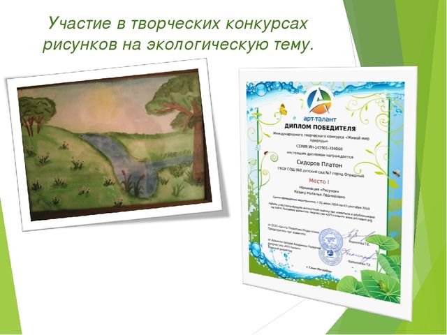 Экологический проект для детей старшего дошкольного возраста на тему "Любовь к родине начинается к природе"