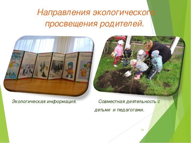 Экологический проект для детей старшего дошкольного возраста на тему "Любовь к родине начинается к природе"