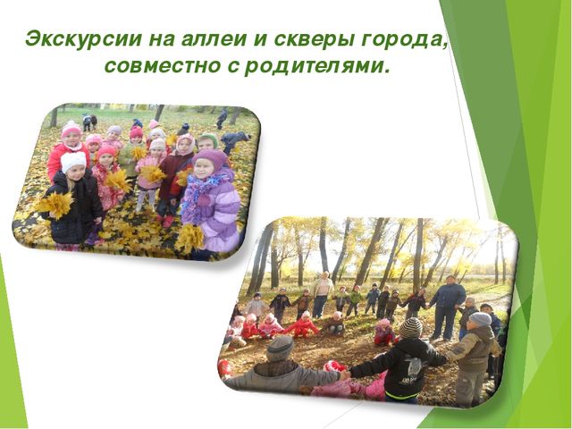 Экологический проект для детей старшего дошкольного возраста на тему "Любовь к родине начинается к природе"