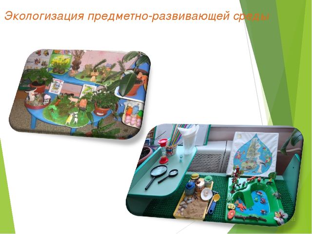 Экологический проект для детей старшего дошкольного возраста на тему "Любовь к родине начинается к природе"