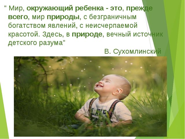 Экологический проект для детей старшего дошкольного возраста на тему "Любовь к родине начинается к природе"