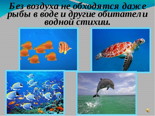 Презентация к открытому занятию в старшей группе по экологии на тему "Воздух"