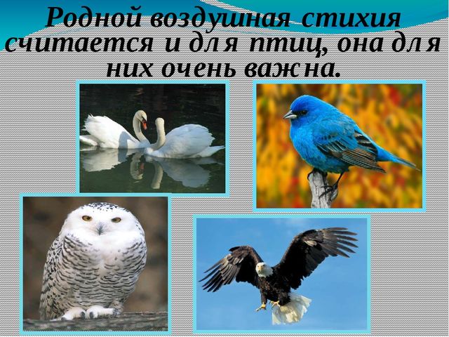 Презентация к открытому занятию в старшей группе по экологии на тему "Воздух"