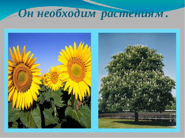 Презентация к открытому занятию в старшей группе по экологии на тему "Воздух"