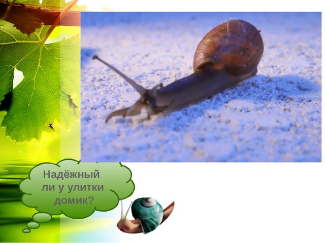 Презентация на тему:"Интересный мир улитки"
