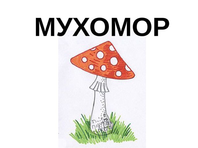 Презентация к НОД "Аппликация "Мухомор"