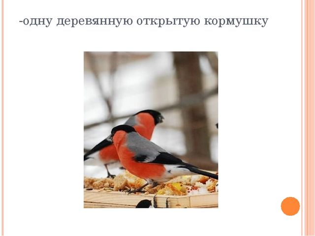 Презентация по экологии"Урок-экскурсия "Покормите птиц зимой" (Дошкольное образование)