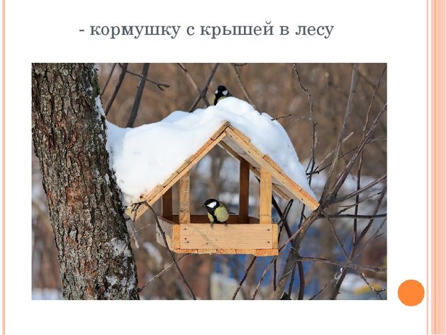 Презентация по экологии"Урок-экскурсия "Покормите птиц зимой" (Дошкольное образование)