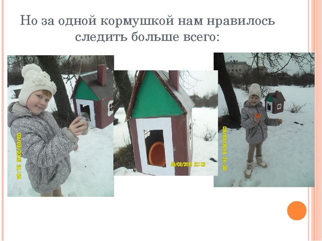 Презентация по экологии"Урок-экскурсия "Покормите птиц зимой" (Дошкольное образование)