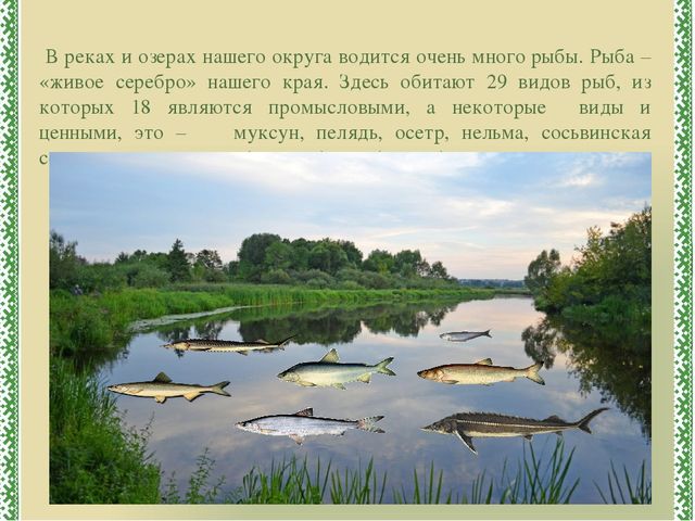 Презентация к ООД "Югра-мой дом родной"