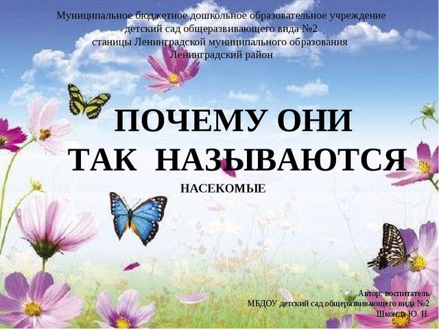 Презентация по ознакомлению с миром насекомых, на тему "Почему они так называются?"