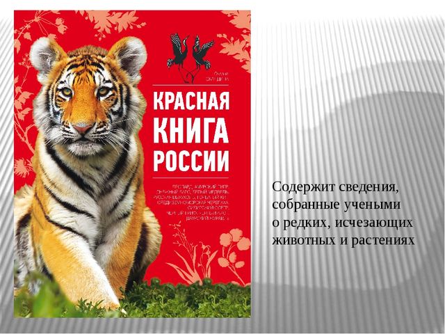 Презентация по окружающему миру для старших дошкольников "Заповедная Россия"