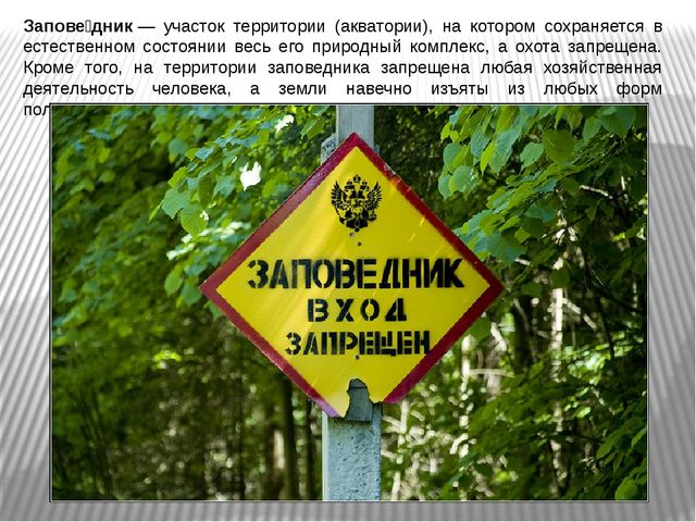 Презентация по окружающему миру для старших дошкольников "Заповедная Россия"