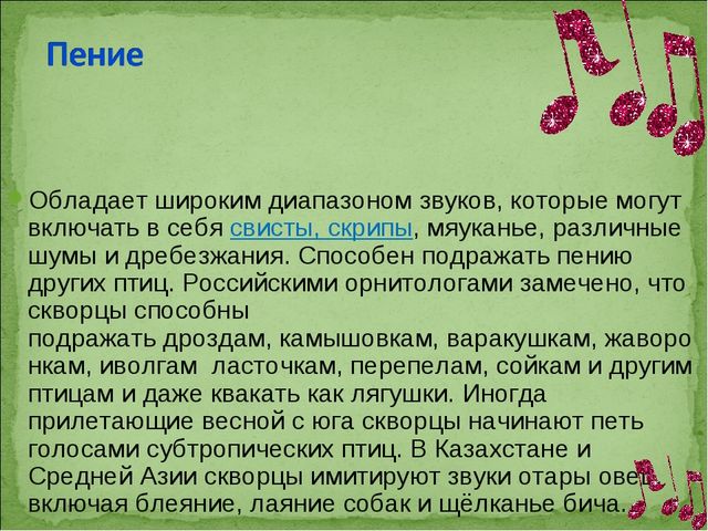 ПРЕЗЕНТАЦИЯ В ПОДГОТОВИТЕЛЬНОЙ ГРУППЕ НА ТЕМУ: "ПЕРЕЛЁТНЫЕ ПТИЦЫ"