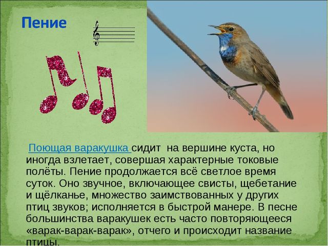 ПРЕЗЕНТАЦИЯ В ПОДГОТОВИТЕЛЬНОЙ ГРУППЕ НА ТЕМУ: "ПЕРЕЛЁТНЫЕ ПТИЦЫ"