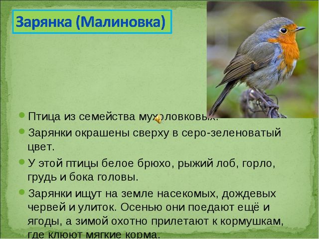 ПРЕЗЕНТАЦИЯ В ПОДГОТОВИТЕЛЬНОЙ ГРУППЕ НА ТЕМУ: "ПЕРЕЛЁТНЫЕ ПТИЦЫ"