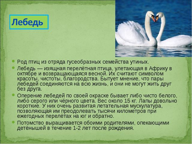 ПРЕЗЕНТАЦИЯ В ПОДГОТОВИТЕЛЬНОЙ ГРУППЕ НА ТЕМУ: "ПЕРЕЛЁТНЫЕ ПТИЦЫ"