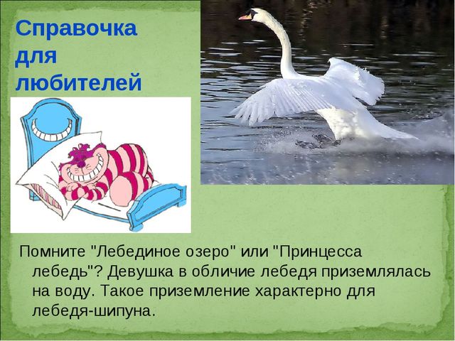 ПРЕЗЕНТАЦИЯ В ПОДГОТОВИТЕЛЬНОЙ ГРУППЕ НА ТЕМУ: "ПЕРЕЛЁТНЫЕ ПТИЦЫ"