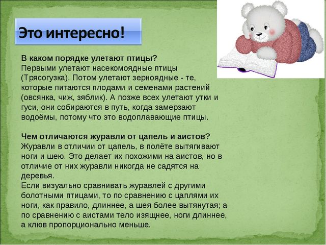 ПРЕЗЕНТАЦИЯ В ПОДГОТОВИТЕЛЬНОЙ ГРУППЕ НА ТЕМУ: "ПЕРЕЛЁТНЫЕ ПТИЦЫ"