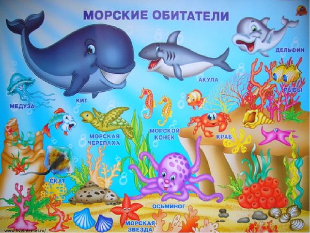 Презентация по экологическому воспитанию дошкольников "День кита"