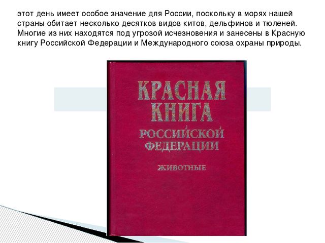 Презентация по экологическому воспитанию дошкольников "День кита"
