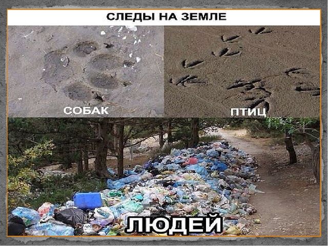 Презентация по экологическому воспитанию дошкольников "Здоровье планеты в руках человека. Жалобная книга природы"