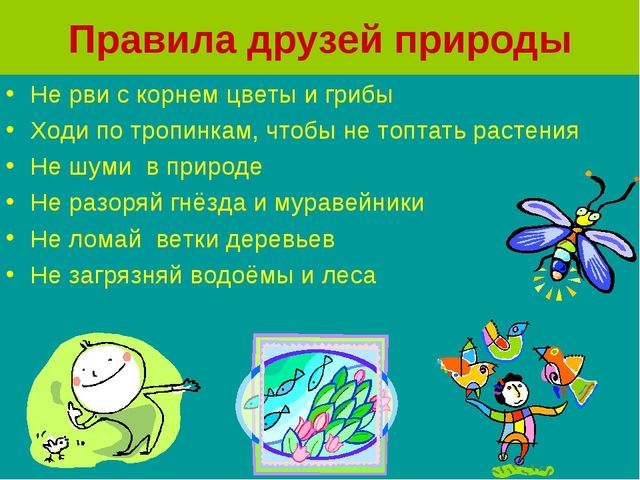 Презентация по экологическому воспитанию дошкольников "Здоровье планеты в руках человека. Жалобная книга природы"