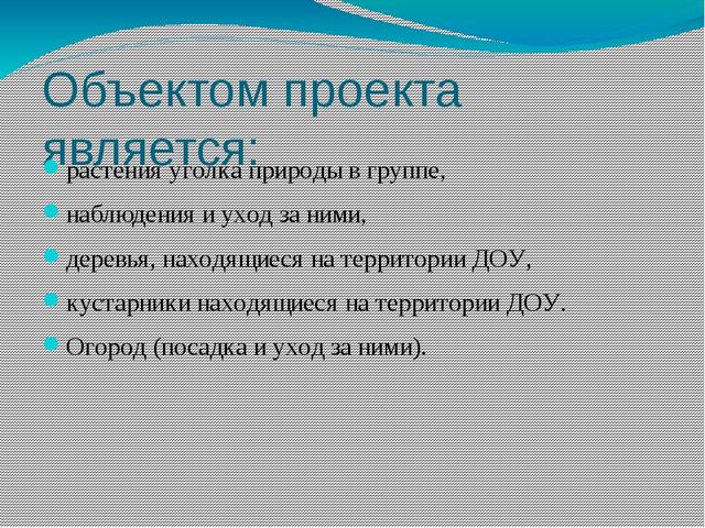 Проект в средней группе "Путешествие по экологической тропинке"